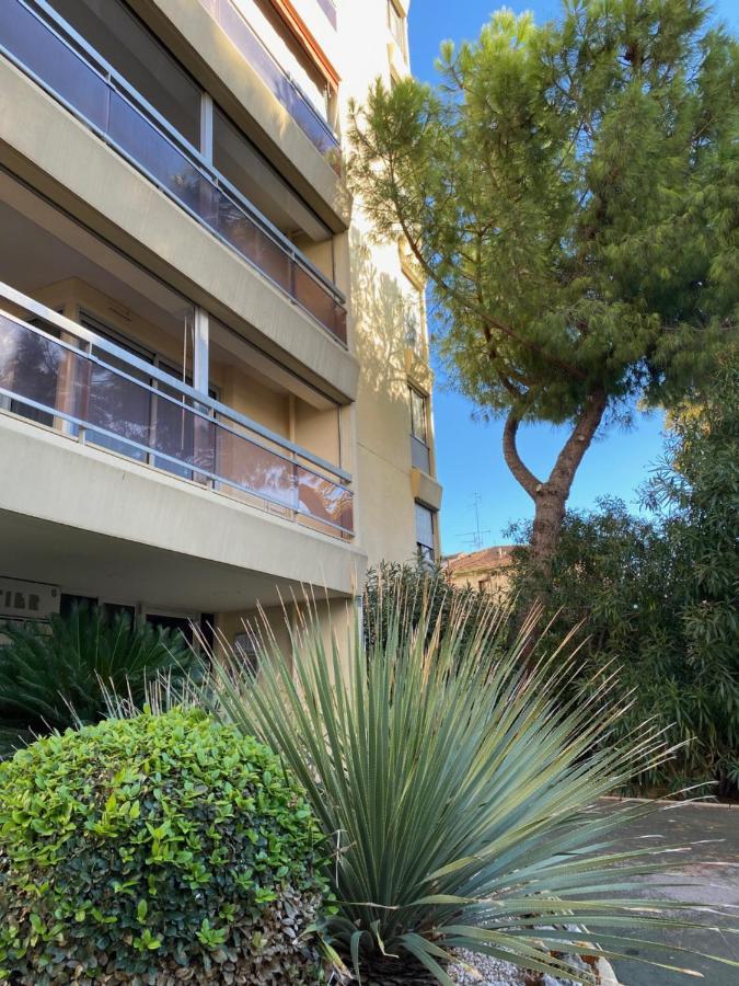 Suite Cosy, Piscine, Tennis, Parking Montpellier Eksteriør bilde